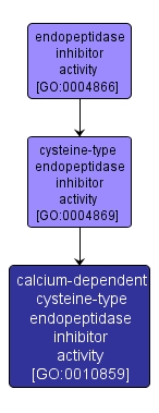 GO:0010859 - calcium-dependent cysteine-type endopeptidase inhibitor activity (interactive image map)