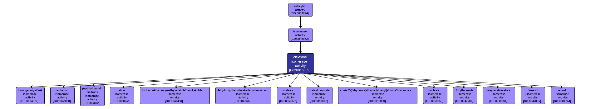 GO:0016859 - cis-trans isomerase activity (interactive image map)