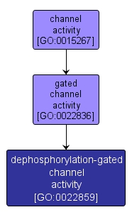 GO:0022859 - dephosphorylation-gated channel activity (interactive image map)