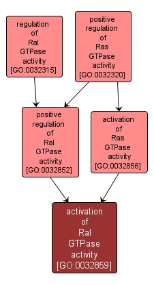 GO:0032859 - activation of Ral GTPase activity (interactive image map)