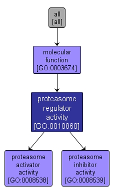 GO:0010860 - proteasome regulator activity (interactive image map)
