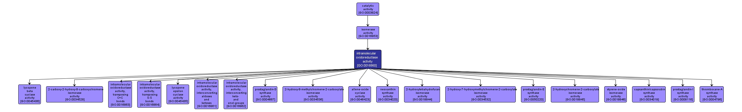 GO:0016860 - intramolecular oxidoreductase activity (interactive image map)