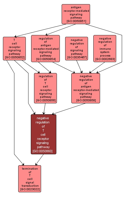 GO:0050860 - negative regulation of T cell receptor signaling pathway (interactive image map)