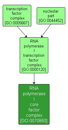 GO:0070860 - RNA polymerase I core factor complex (interactive image map)