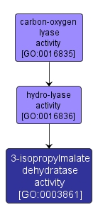 GO:0003861 - 3-isopropylmalate dehydratase activity (interactive image map)