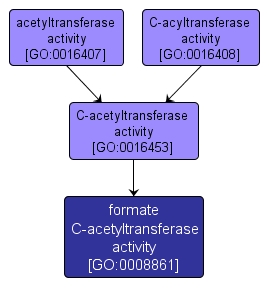 GO:0008861 - formate C-acetyltransferase activity (interactive image map)