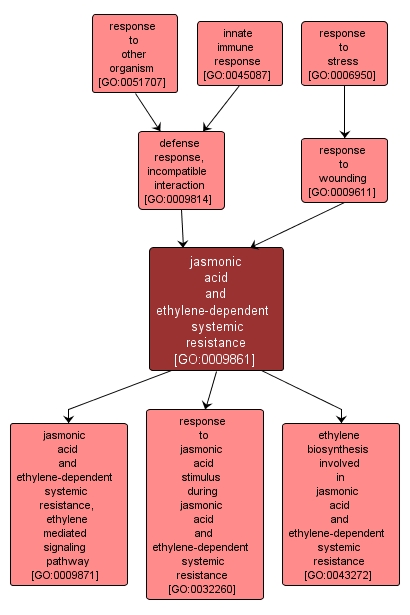 GO:0009861 - jasmonic acid and ethylene-dependent systemic resistance (interactive image map)