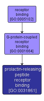 GO:0031861 - prolactin-releasing peptide receptor binding (interactive image map)