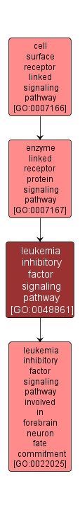 GO:0048861 - leukemia inhibitory factor signaling pathway (interactive image map)