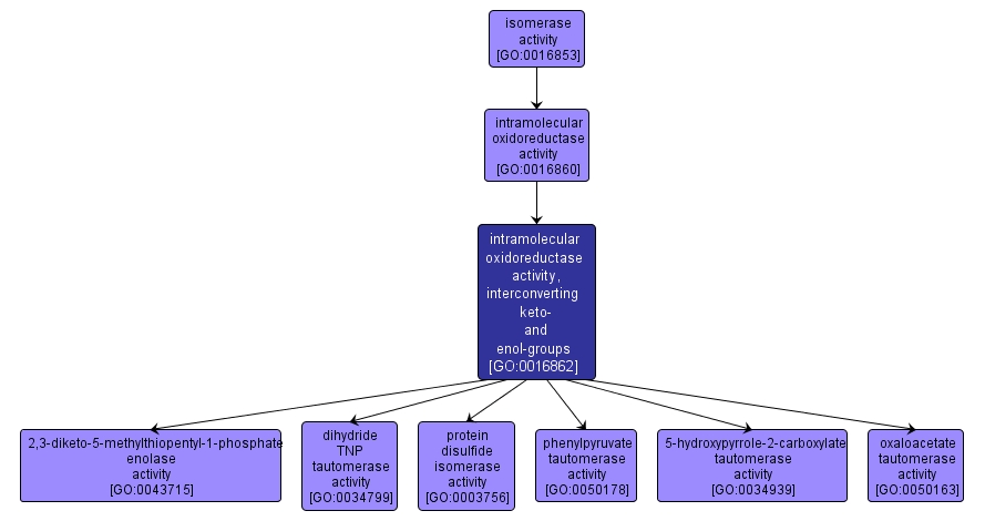 GO:0016862 - intramolecular oxidoreductase activity, interconverting keto- and enol-groups (interactive image map)