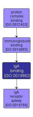 GO:0019862 - IgA binding (interactive image map)
