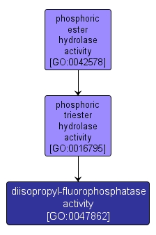 GO:0047862 - diisopropyl-fluorophosphatase activity (interactive image map)