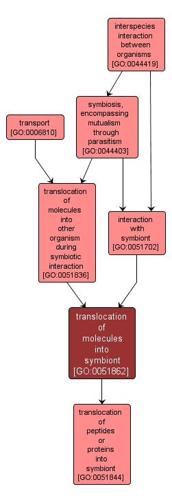 GO:0051862 - translocation of molecules into symbiont (interactive image map)