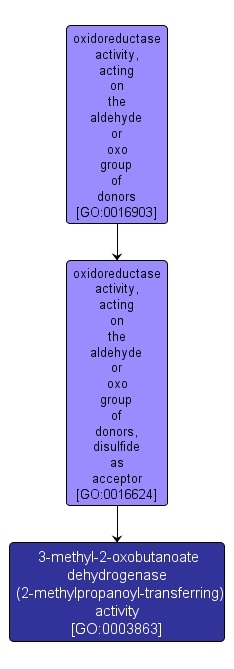 GO:0003863 - 3-methyl-2-oxobutanoate dehydrogenase (2-methylpropanoyl-transferring) activity (interactive image map)