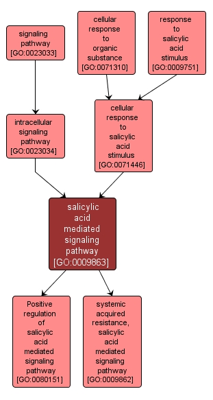 GO:0009863 - salicylic acid mediated signaling pathway (interactive image map)