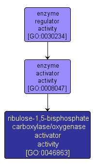 GO:0046863 - ribulose-1,5-bisphosphate carboxylase/oxygenase activator activity (interactive image map)
