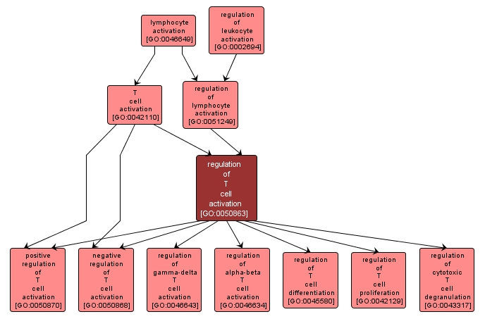 GO:0050863 - regulation of T cell activation (interactive image map)