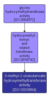 GO:0003864 - 3-methyl-2-oxobutanoate hydroxymethyltransferase activity (interactive image map)