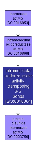 GO:0016864 - intramolecular oxidoreductase activity, transposing S-S bonds (interactive image map)