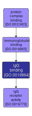GO:0019864 - IgG binding (interactive image map)
