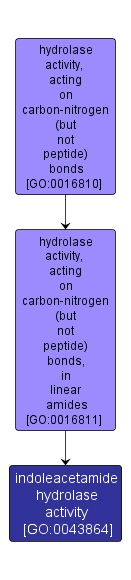 GO:0043864 - indoleacetamide hydrolase activity (interactive image map)