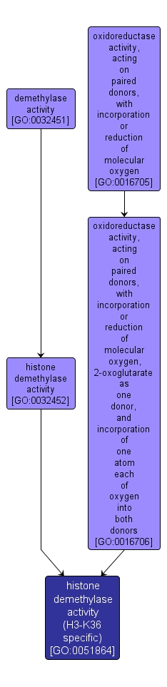 GO:0051864 - histone demethylase activity (H3-K36 specific) (interactive image map)