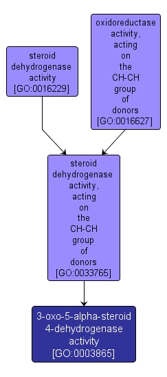 GO:0003865 - 3-oxo-5-alpha-steroid 4-dehydrogenase activity (interactive image map)