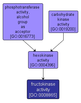 GO:0008865 - fructokinase activity (interactive image map)