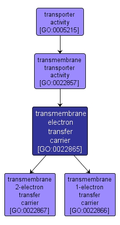 GO:0022865 - transmembrane electron transfer carrier (interactive image map)
