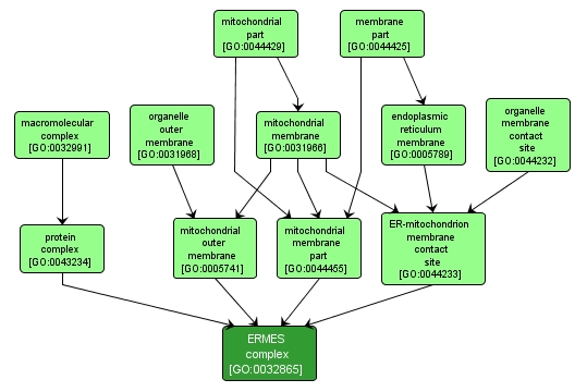 GO:0032865 - ERMES complex (interactive image map)