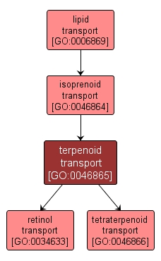 GO:0046865 - terpenoid transport (interactive image map)