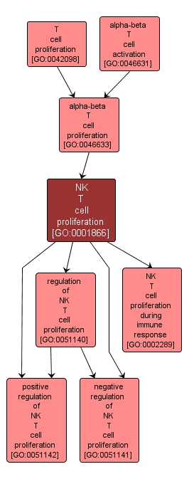 GO:0001866 - NK T cell proliferation (interactive image map)