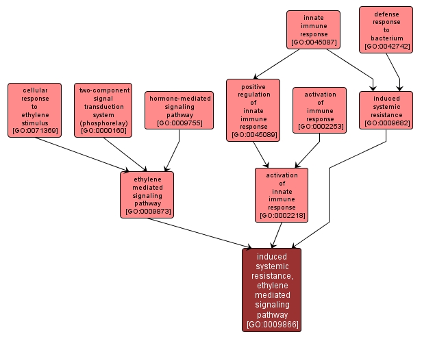 GO:0009866 - induced systemic resistance, ethylene mediated signaling pathway (interactive image map)