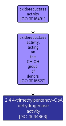 GO:0034866 - 2,4,4-trimethylpentanoyl-CoA dehydrogenase activity (interactive image map)