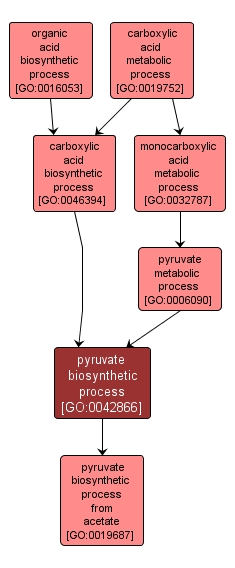 GO:0042866 - pyruvate biosynthetic process (interactive image map)