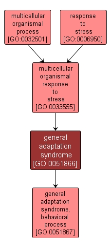 GO:0051866 - general adaptation syndrome (interactive image map)