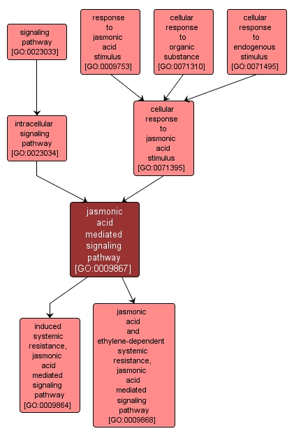GO:0009867 - jasmonic acid mediated signaling pathway (interactive image map)