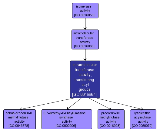 GO:0016867 - intramolecular transferase activity, transferring acyl groups (interactive image map)