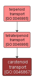 GO:0046867 - carotenoid transport (interactive image map)