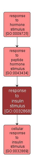 GO:0032868 - response to insulin stimulus (interactive image map)