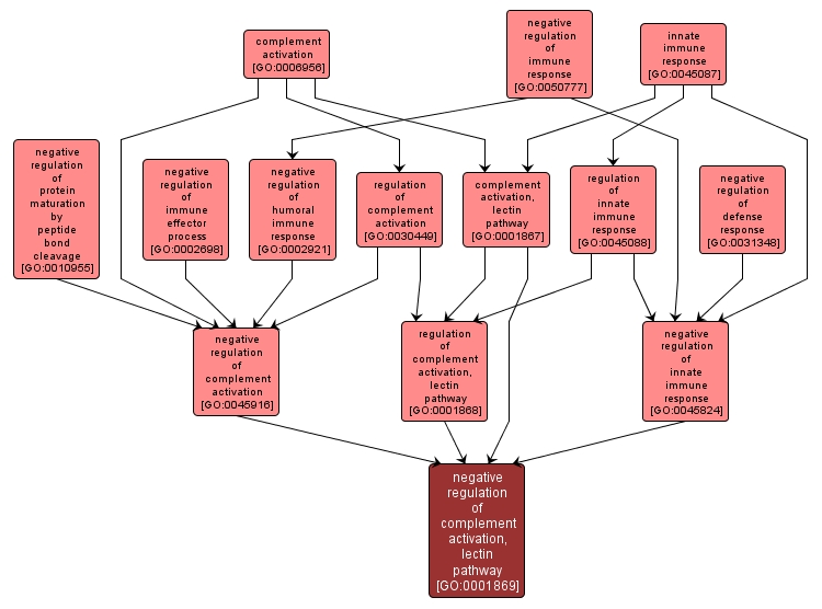 GO:0001869 - negative regulation of complement activation, lectin pathway (interactive image map)