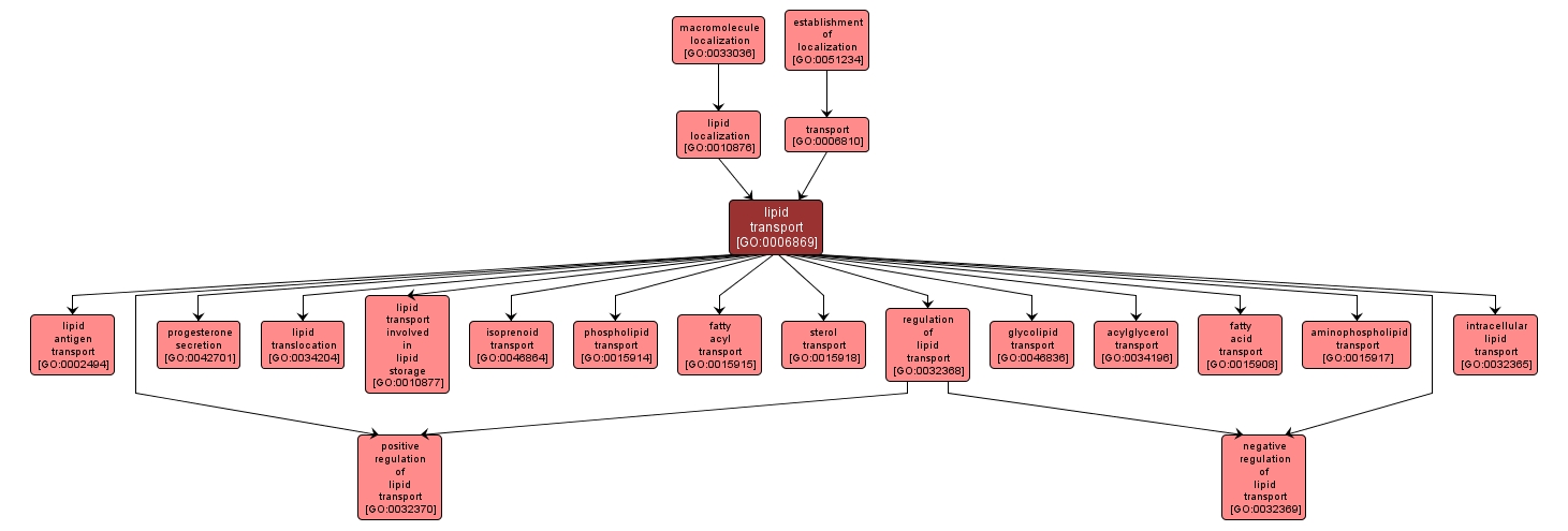 GO:0006869 - lipid transport (interactive image map)