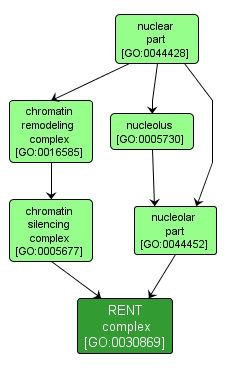GO:0030869 - RENT complex (interactive image map)