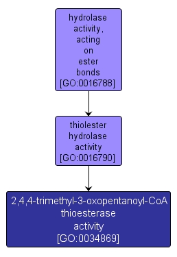 GO:0034869 - 2,4,4-trimethyl-3-oxopentanoyl-CoA thioesterase activity (interactive image map)