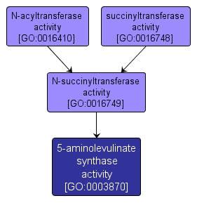 GO:0003870 - 5-aminolevulinate synthase activity (interactive image map)