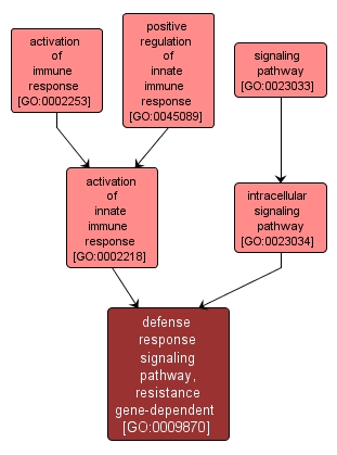 GO:0009870 - defense response signaling pathway, resistance gene-dependent (interactive image map)