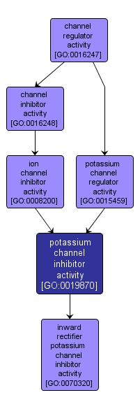 GO:0019870 - potassium channel inhibitor activity (interactive image map)