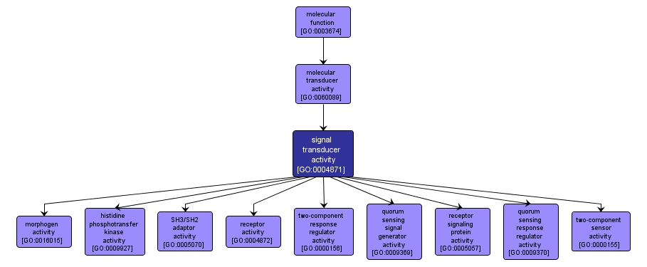 GO:0004871 - signal transducer activity (interactive image map)