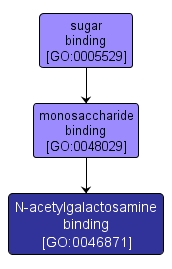 GO:0046871 - N-acetylgalactosamine binding (interactive image map)