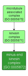 GO:0005872 - minus-end kinesin complex (interactive image map)